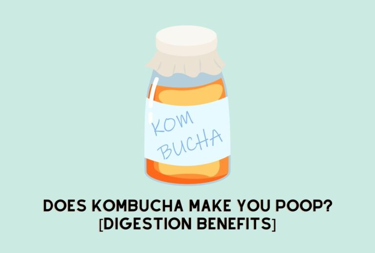 Does Kombucha Make You Poop? [Digestion Benefits] [Full Guide]