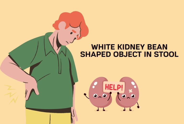 White Kidney Shaped Object In Stool! (Causes, Diagnosis, & Precautions) [Step-By-Step guide]