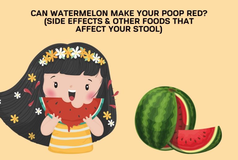 Can Watermelon Make Your Poop Red? (Side Effects & Other Foods That Affect Your Stool) (Learn More)