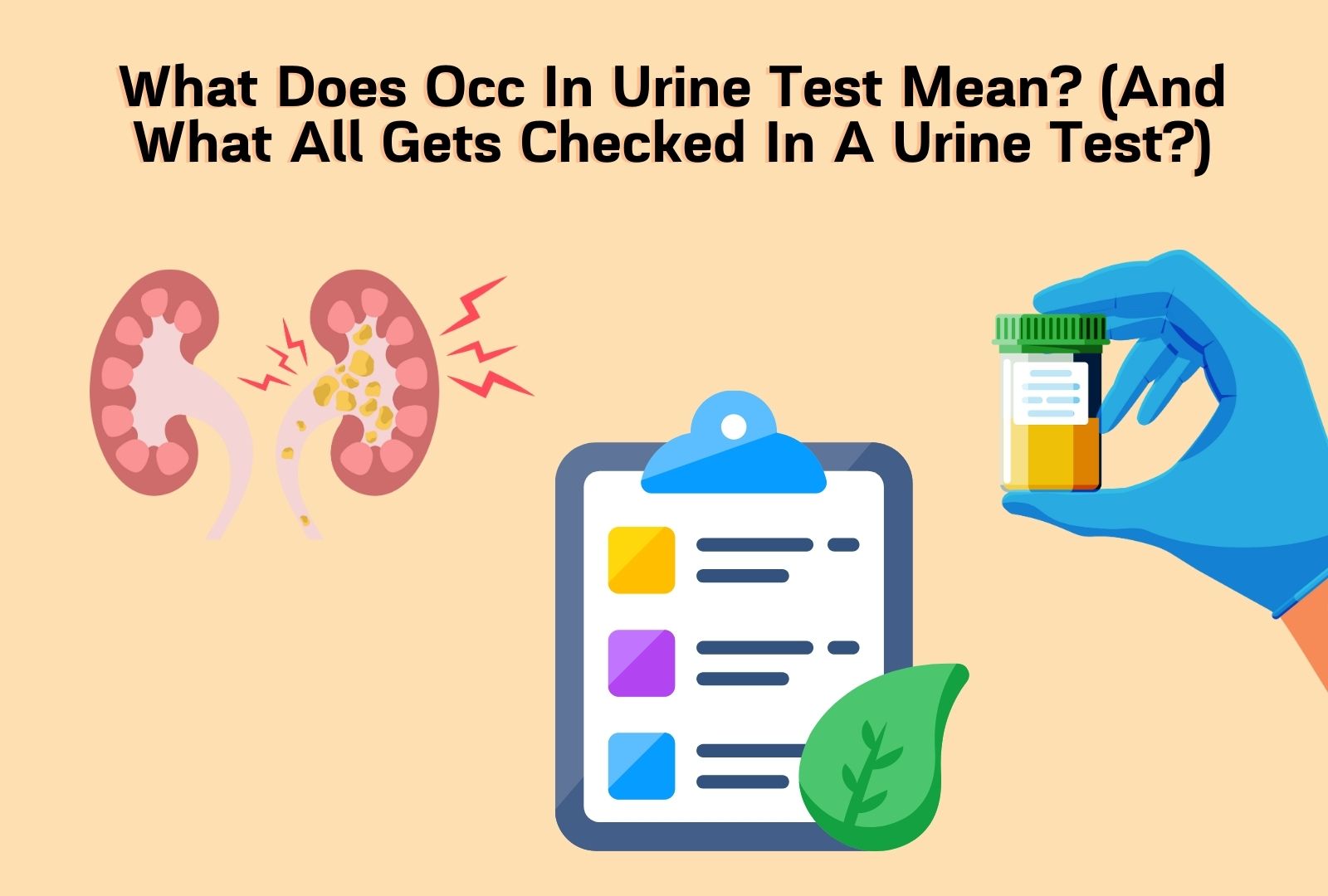 What Does Occ In Urine Test Mean? (And What All Gets Checked In A Urine